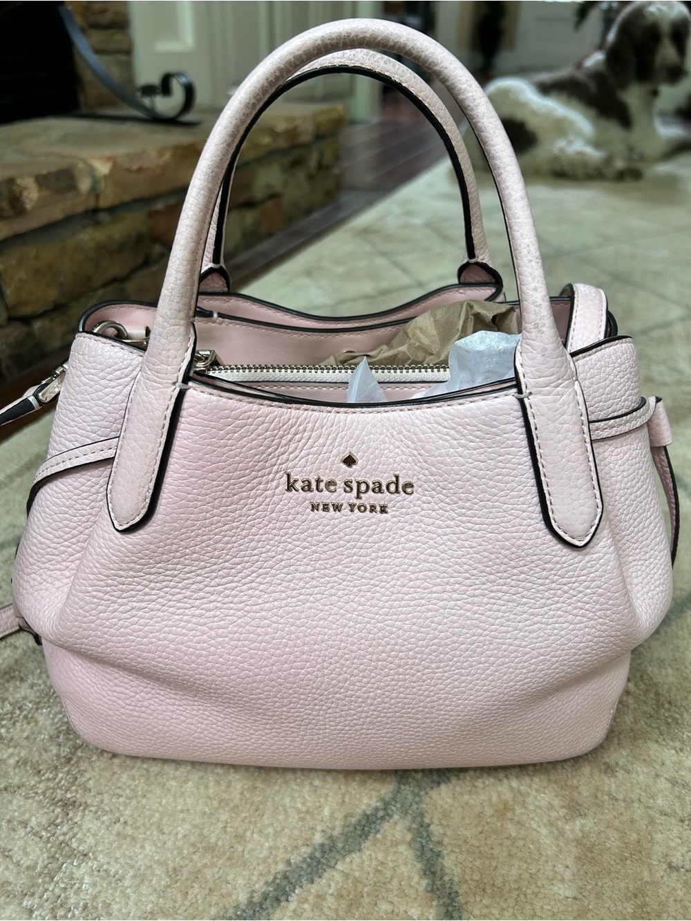 Kate Spade Small Dumpling Light Pink with wallet
